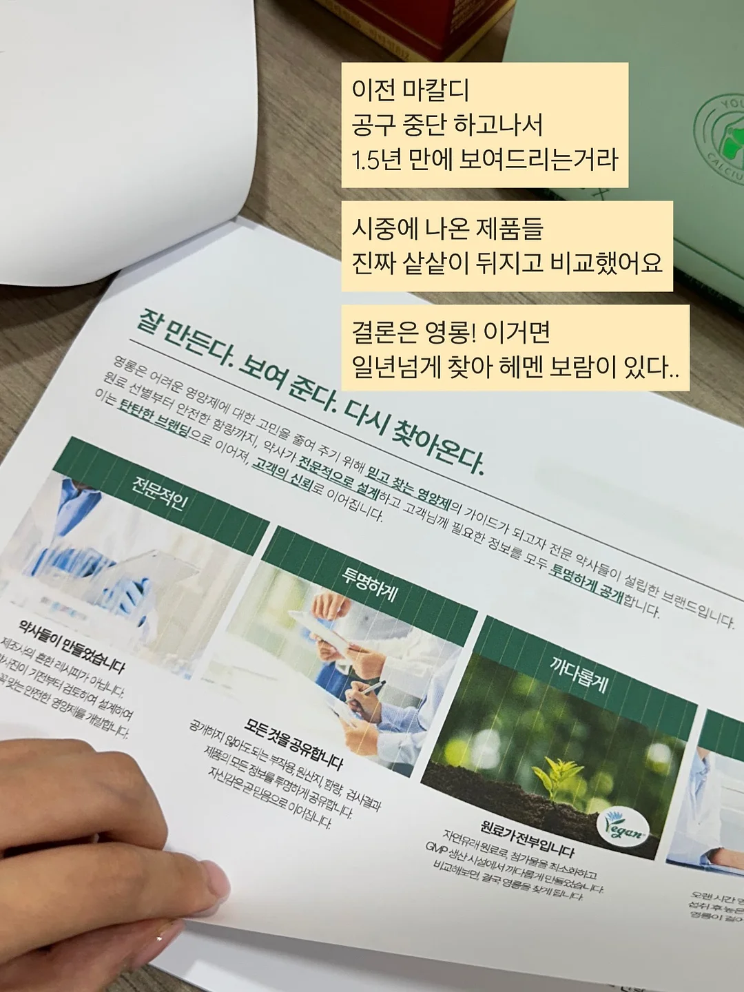 페이퍼프로그램 10