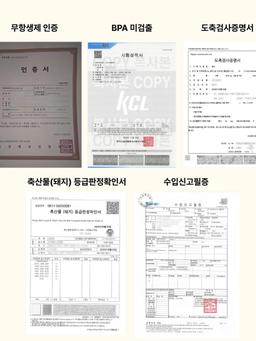 코스모 유기농 블루베리 14