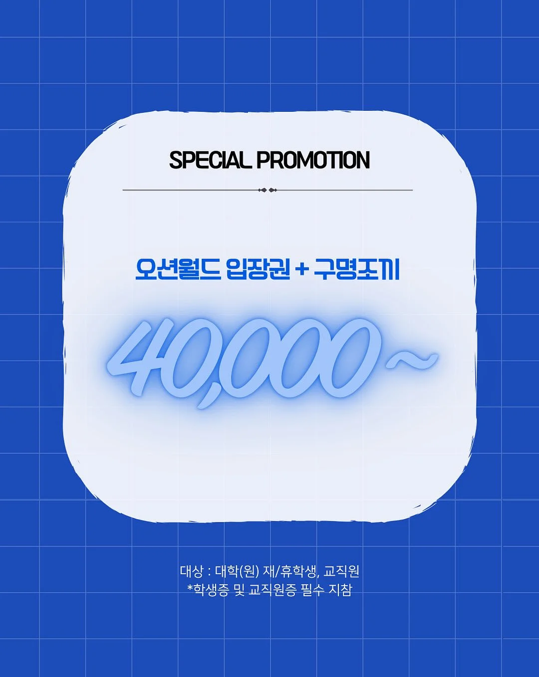 셀렉스 썬화이버 당솔브 2