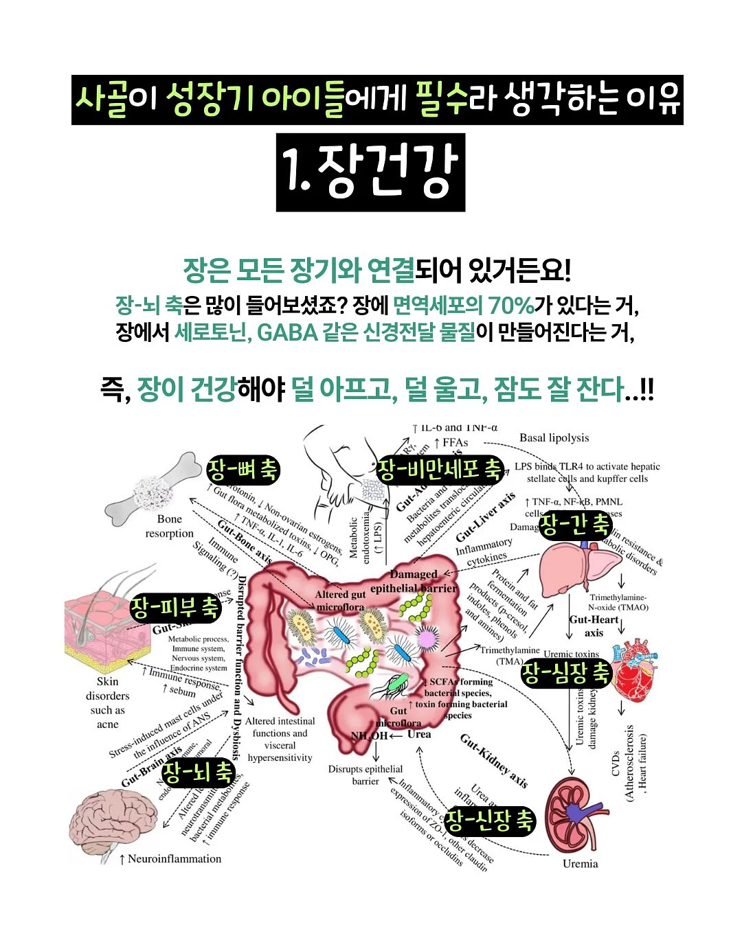 물광 기초 4