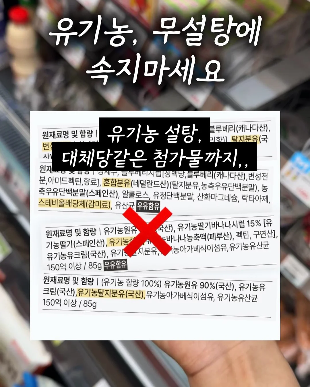 뚱보쿠키 6종 수업 2