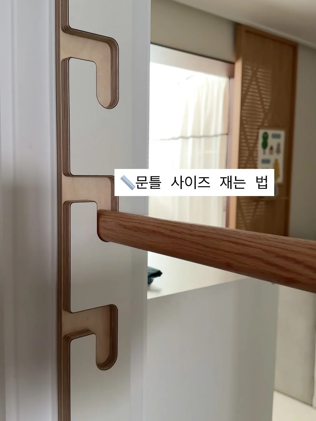 국내산 갑오징어 1