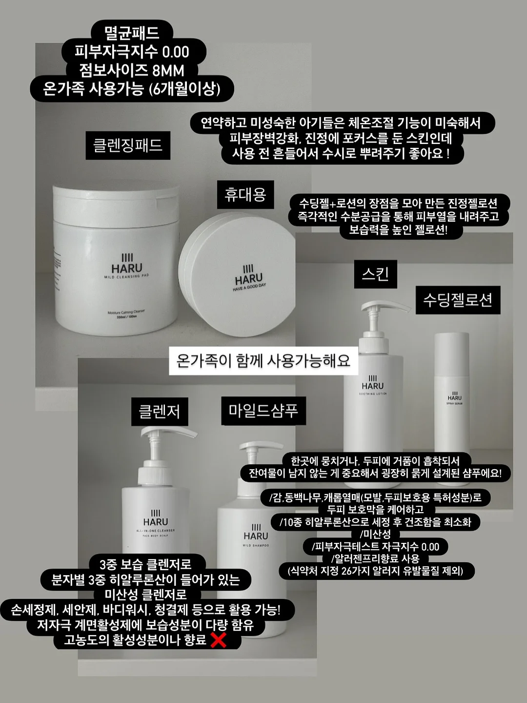 파메스테틱 교육 3