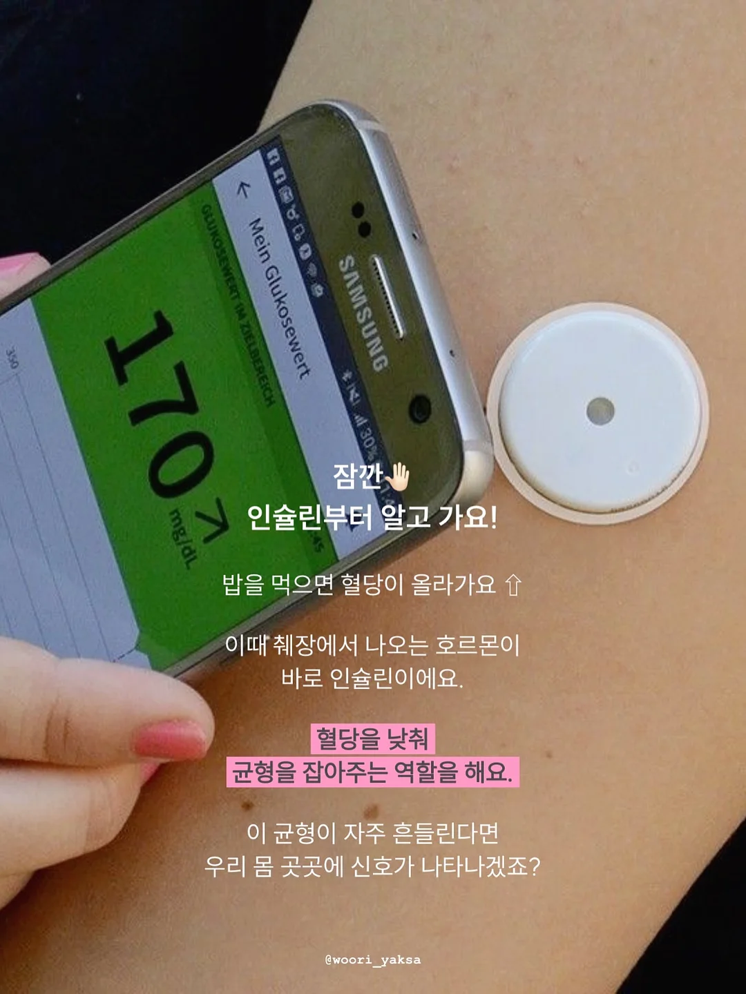 에르 가디건 4