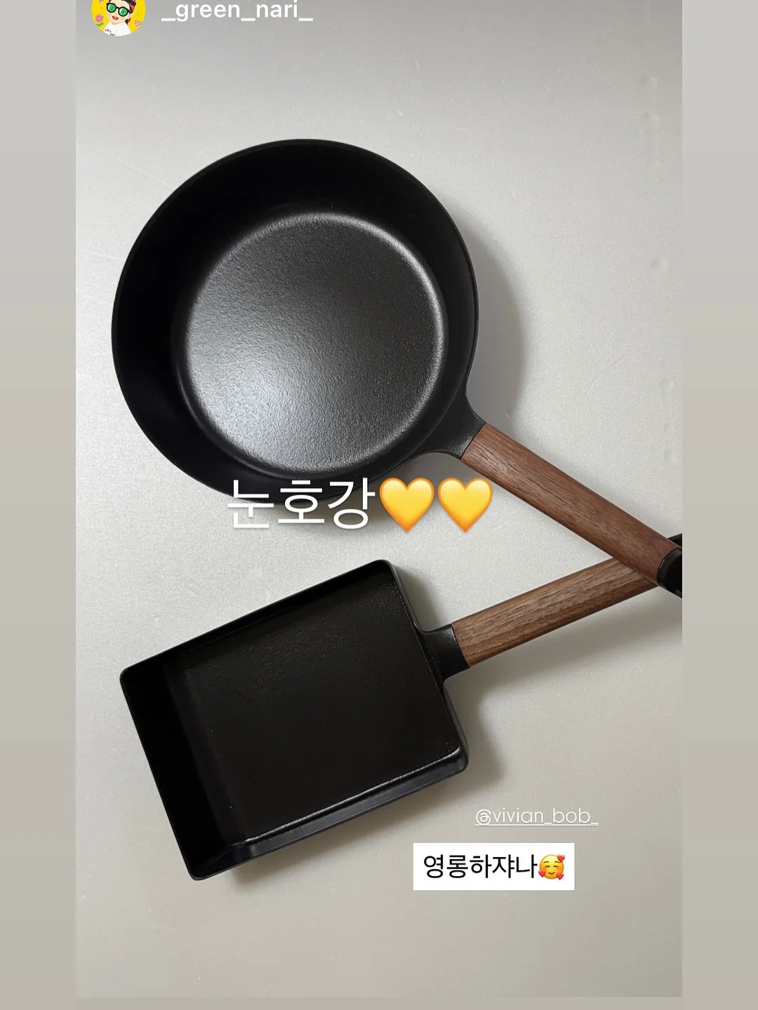 오렌지 쟈스민 반려식물 20