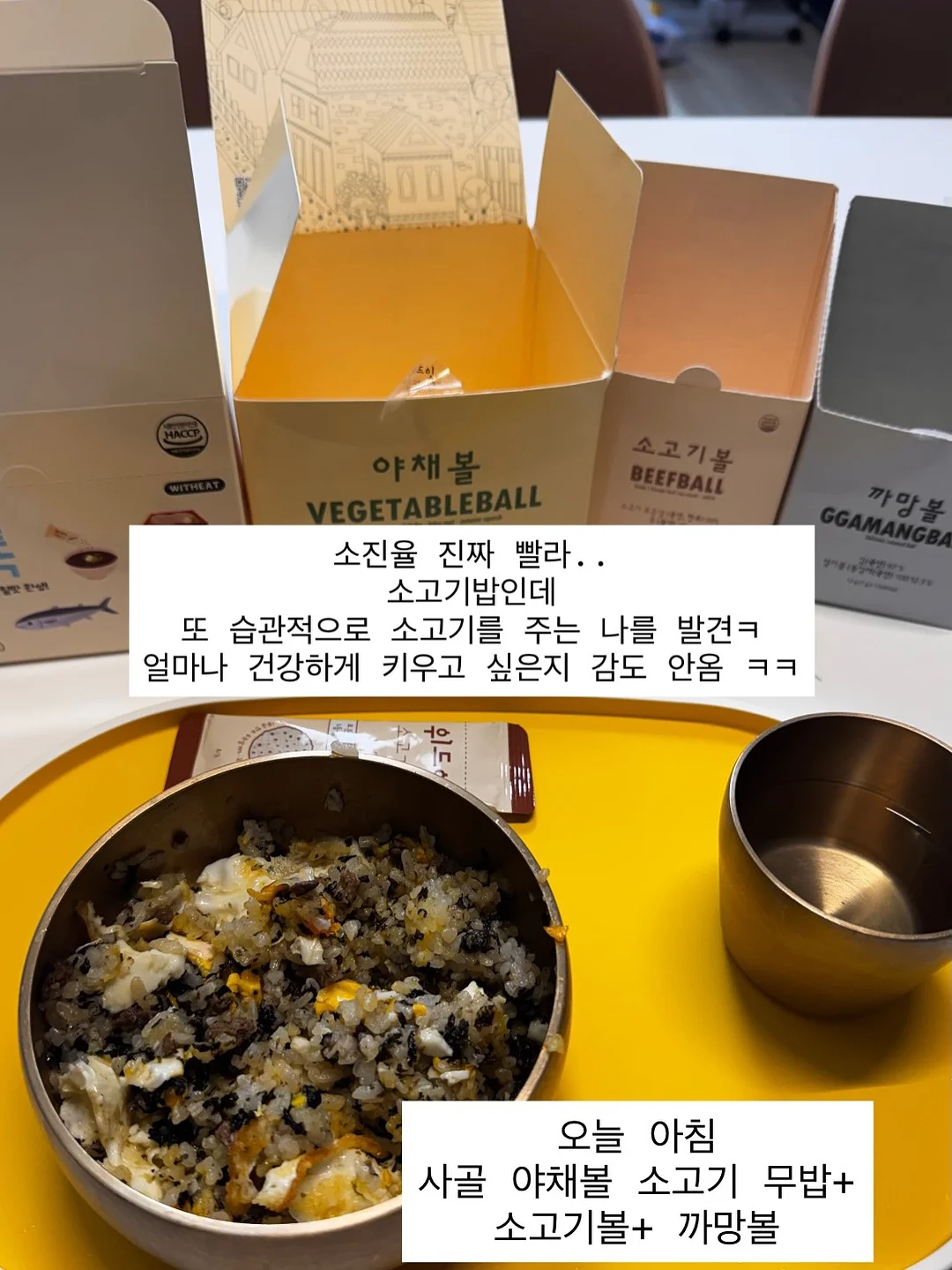 오렌지 쟈스민 반려식물 6