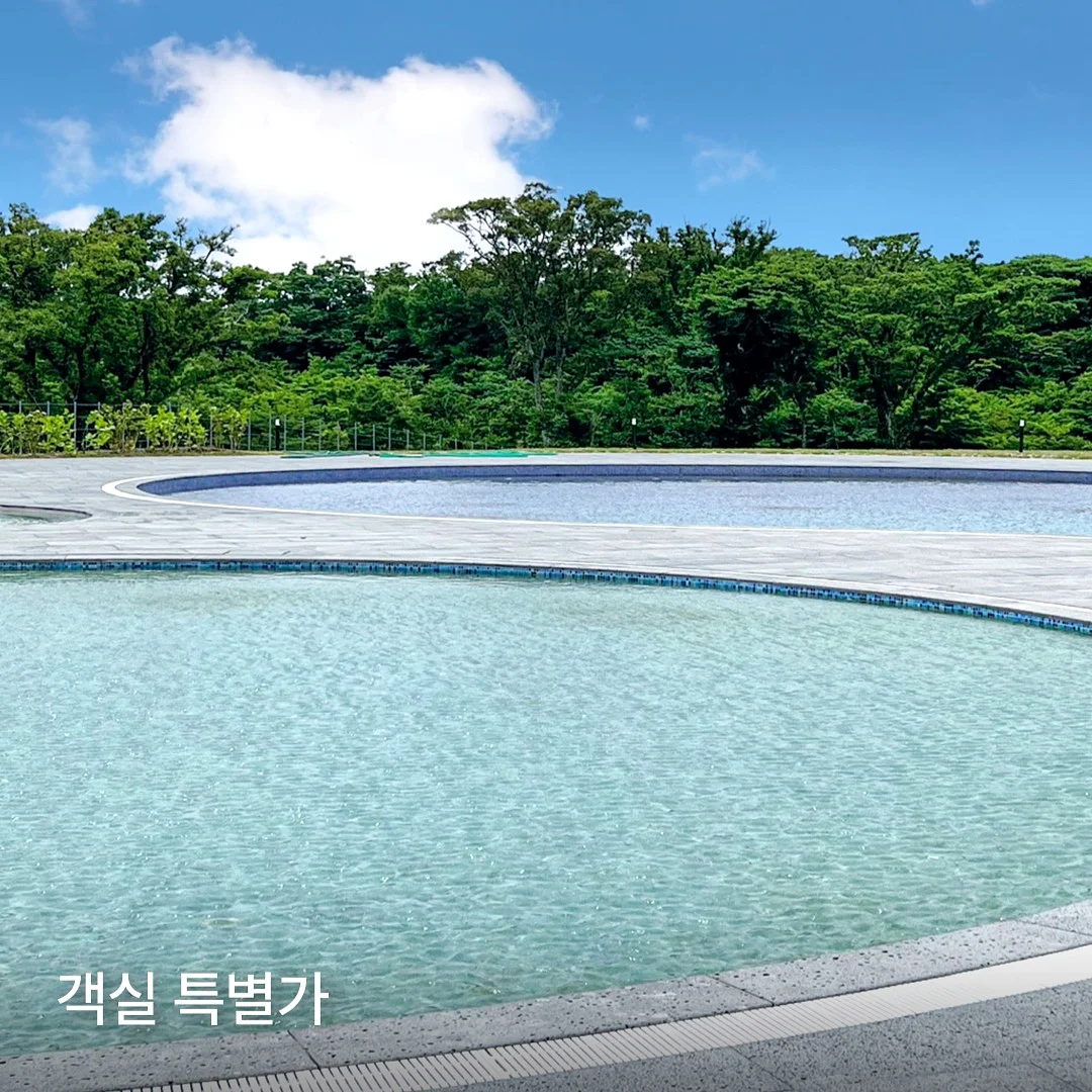 르샤트라 섬유유연제 쁘띠 코튼향 3