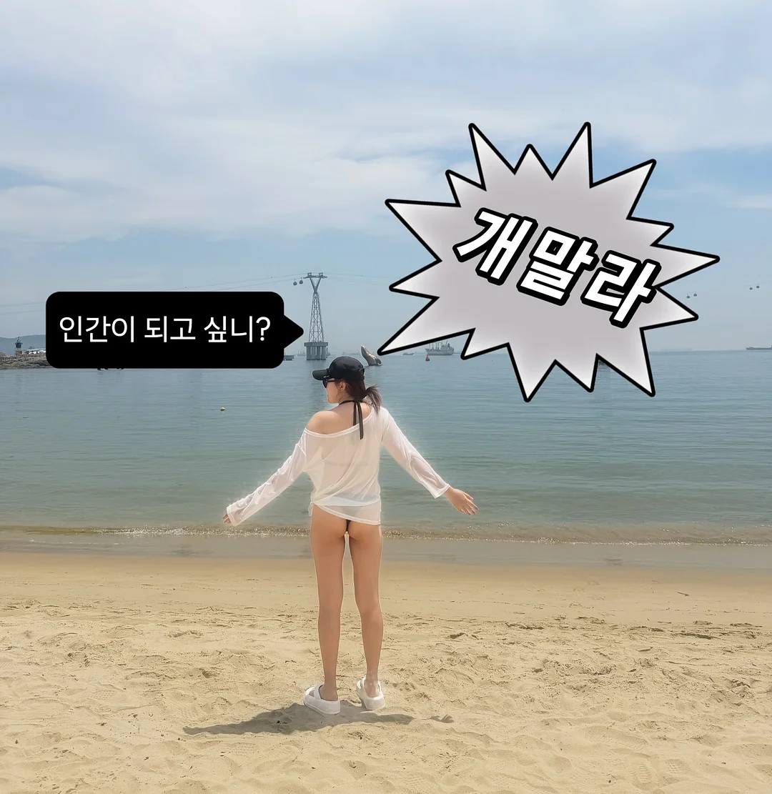 충전 건전지 1