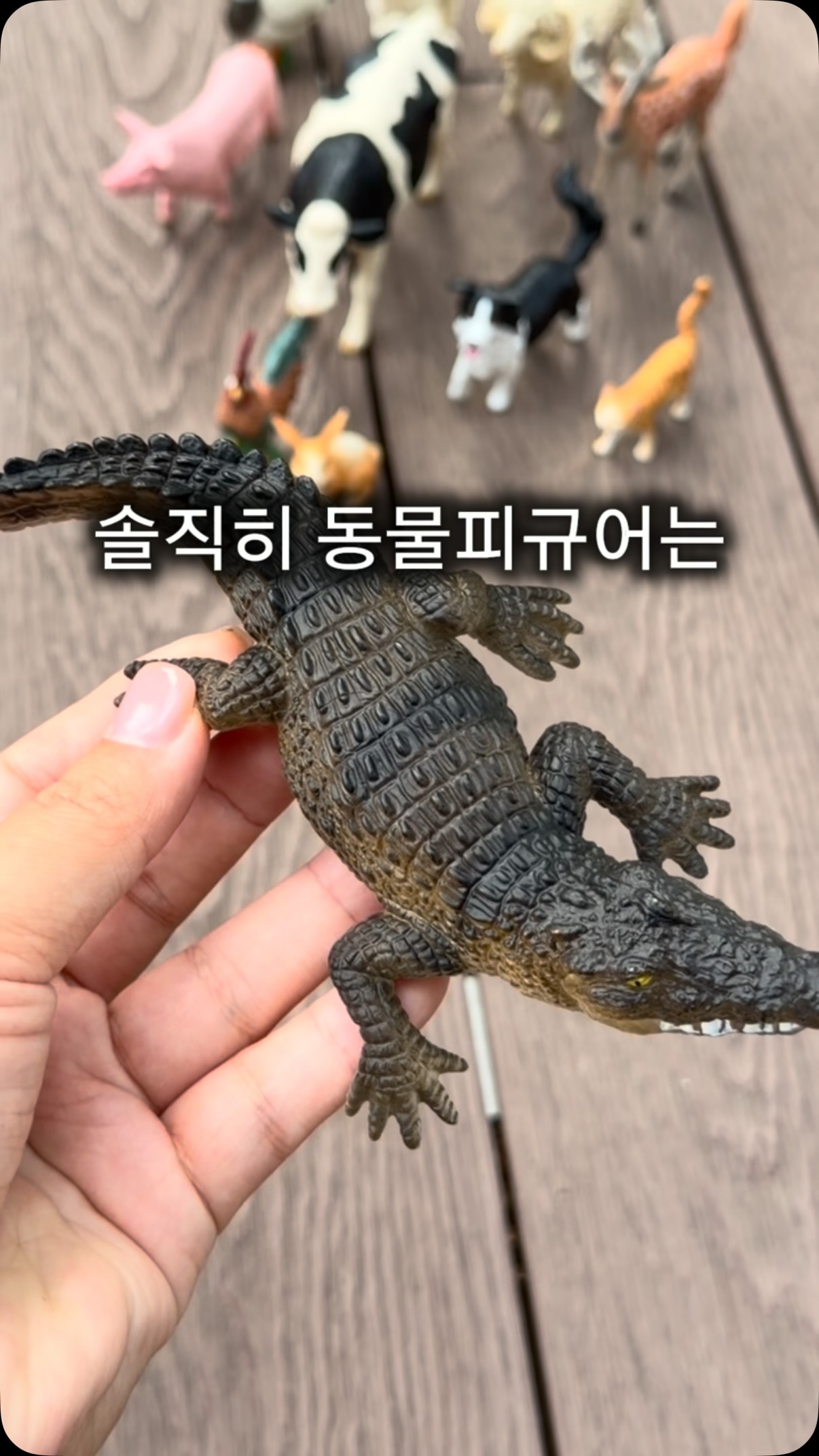 다산 만화 한국 신화 세트