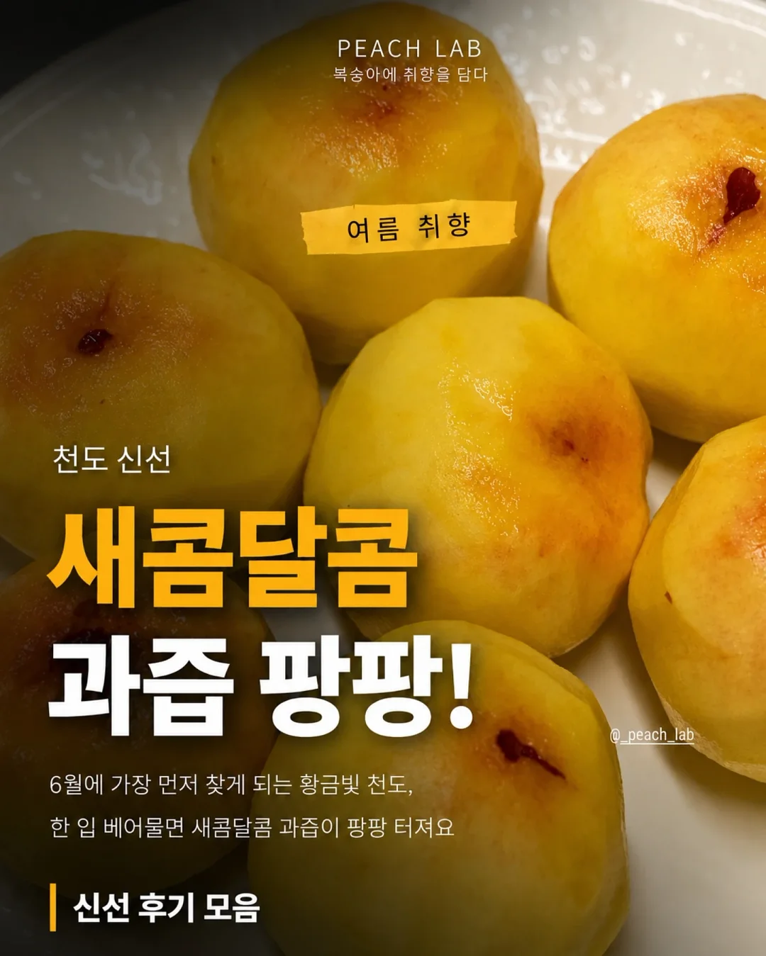 딘엔 델루카 메쉬백 1