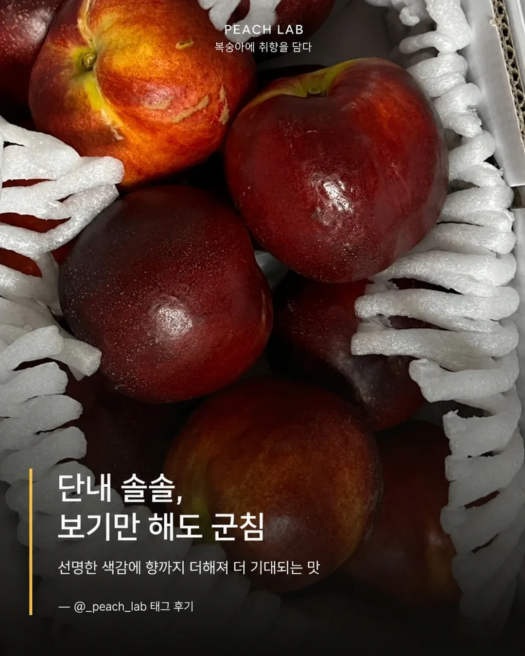 딘엔 델루카 메쉬백 11