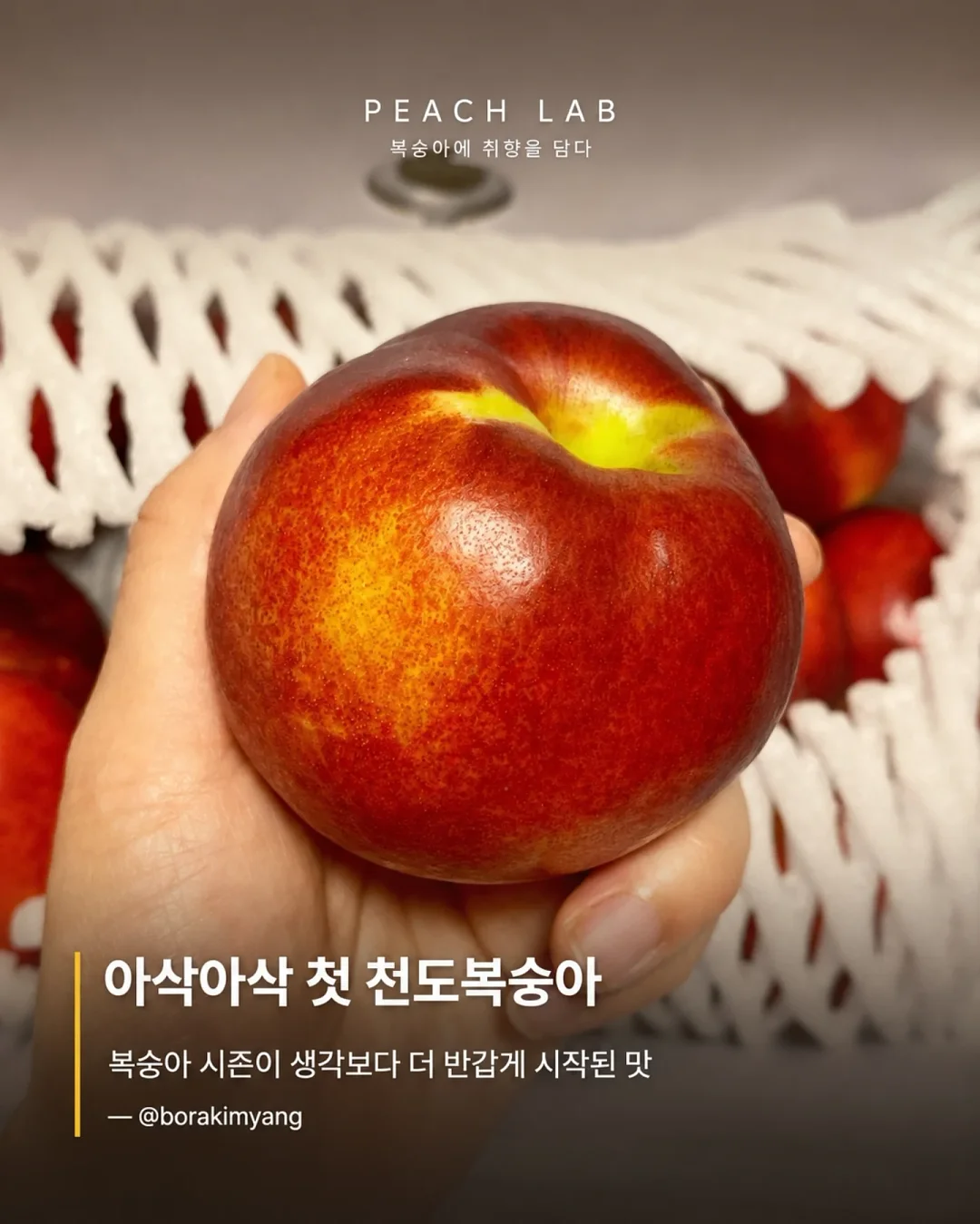 딘엔 델루카 메쉬백 12
