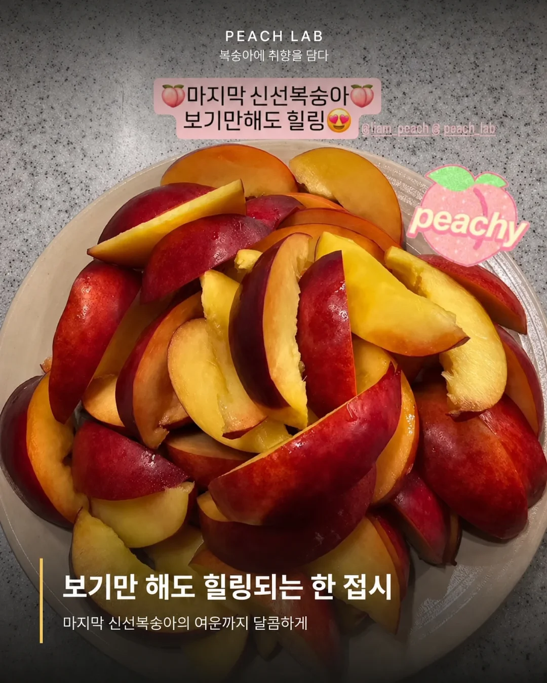 딘엔 델루카 메쉬백 13