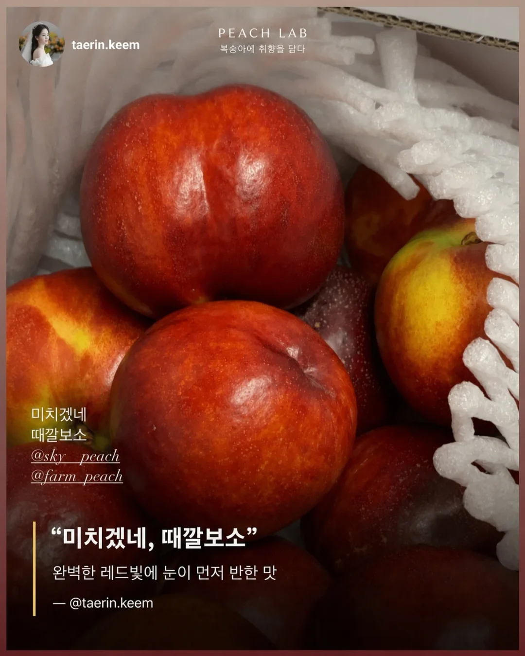 딘엔 델루카 메쉬백 14