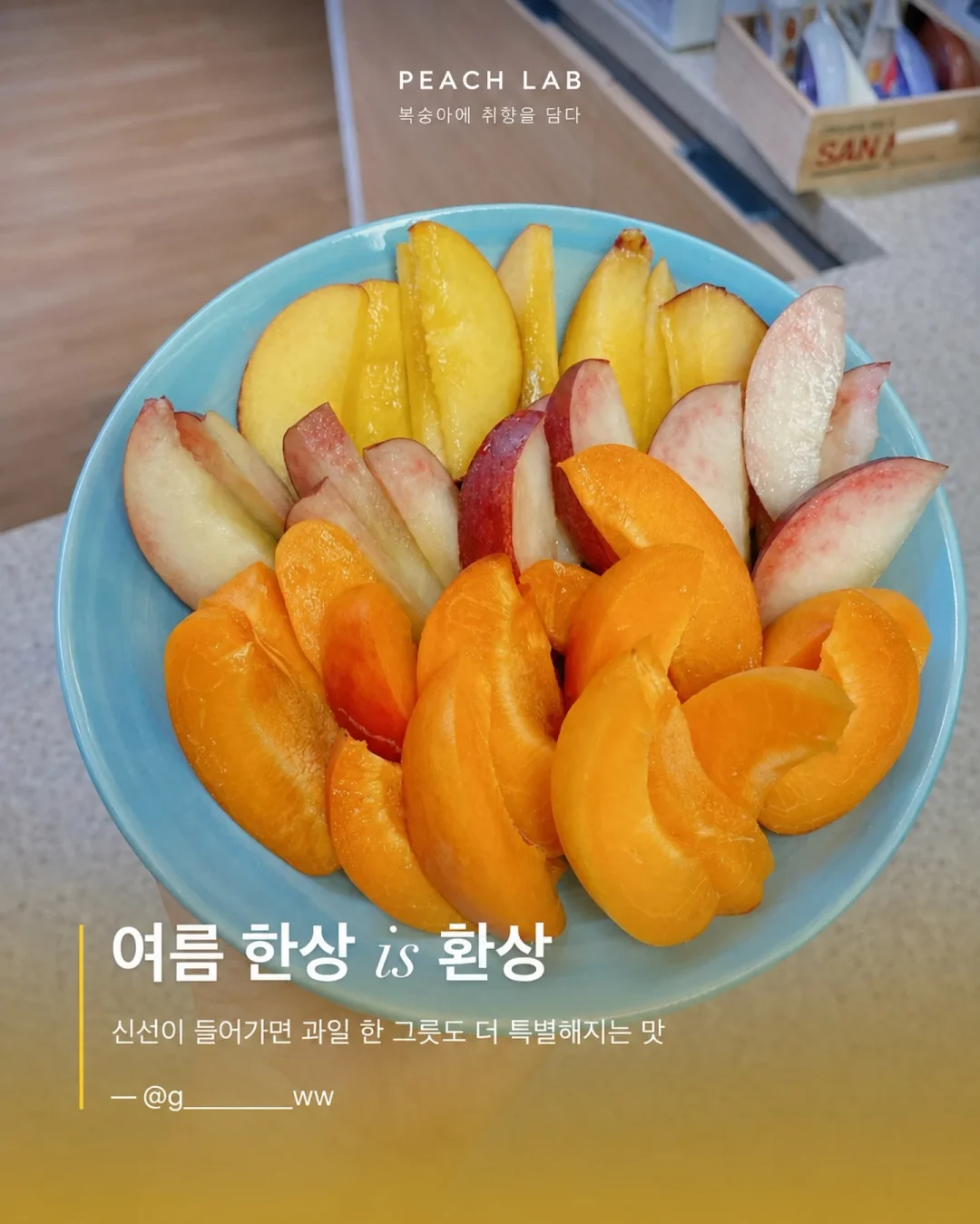 딘엔 델루카 메쉬백 15