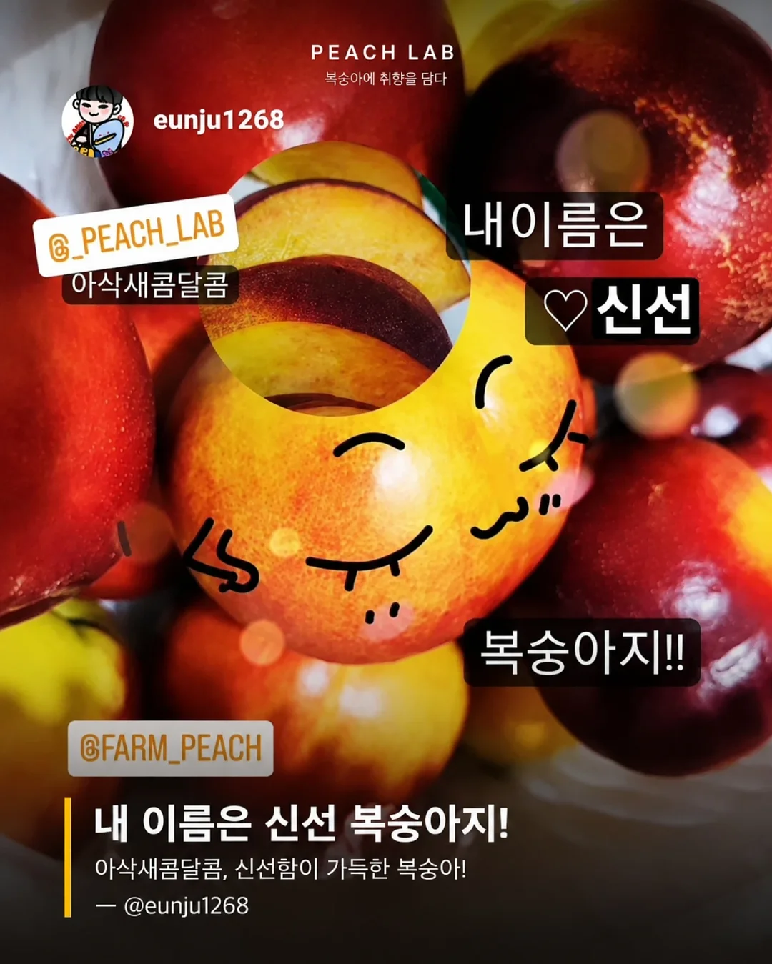 딘엔 델루카 메쉬백 2