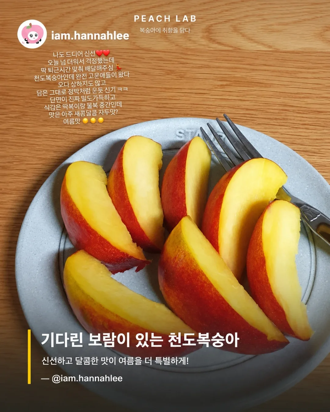 딘엔 델루카 메쉬백 3
