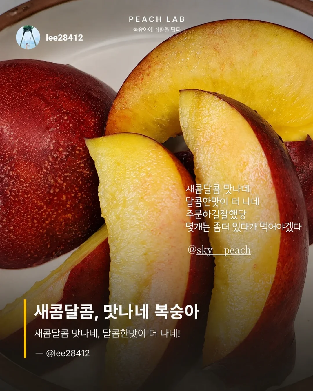 딘엔 델루카 메쉬백 4