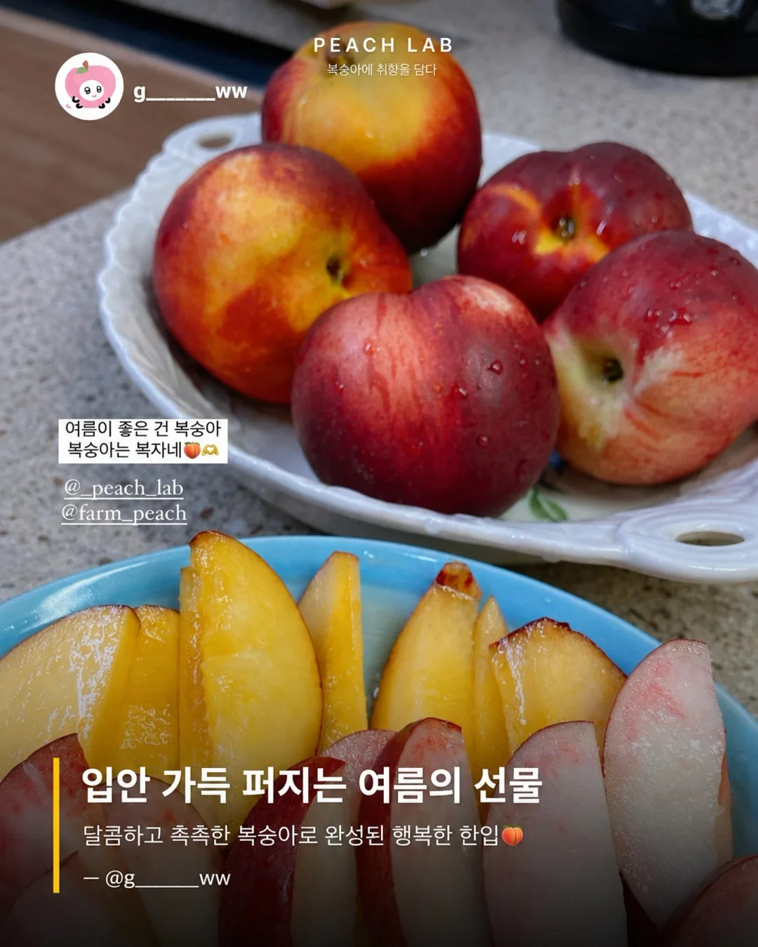 딘엔 델루카 메쉬백 5