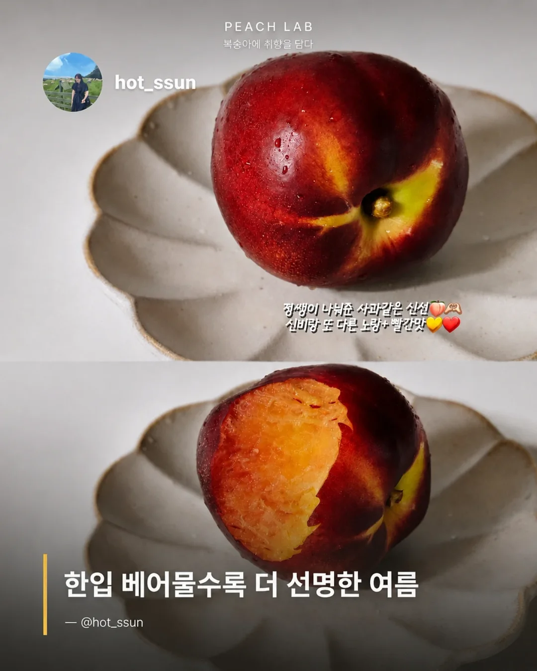 딘엔 델루카 메쉬백 6