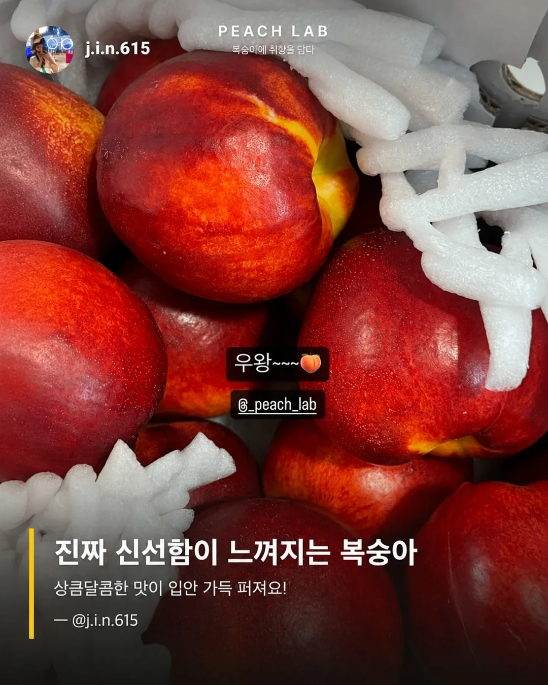 딘엔 델루카 메쉬백 7