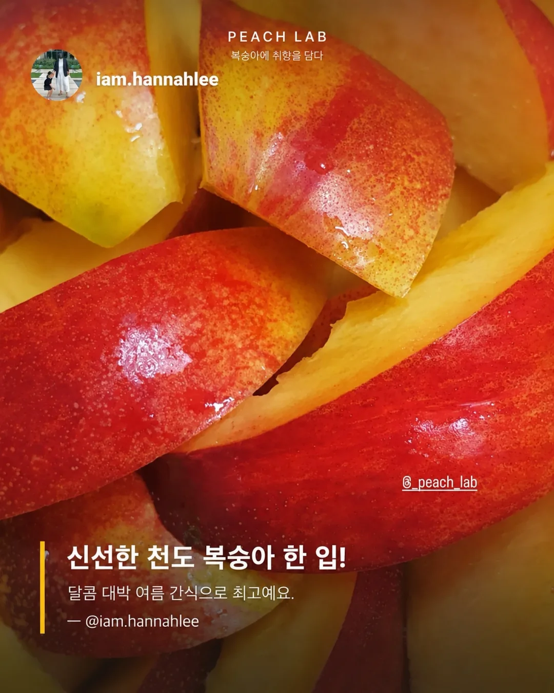 딘엔 델루카 메쉬백 8