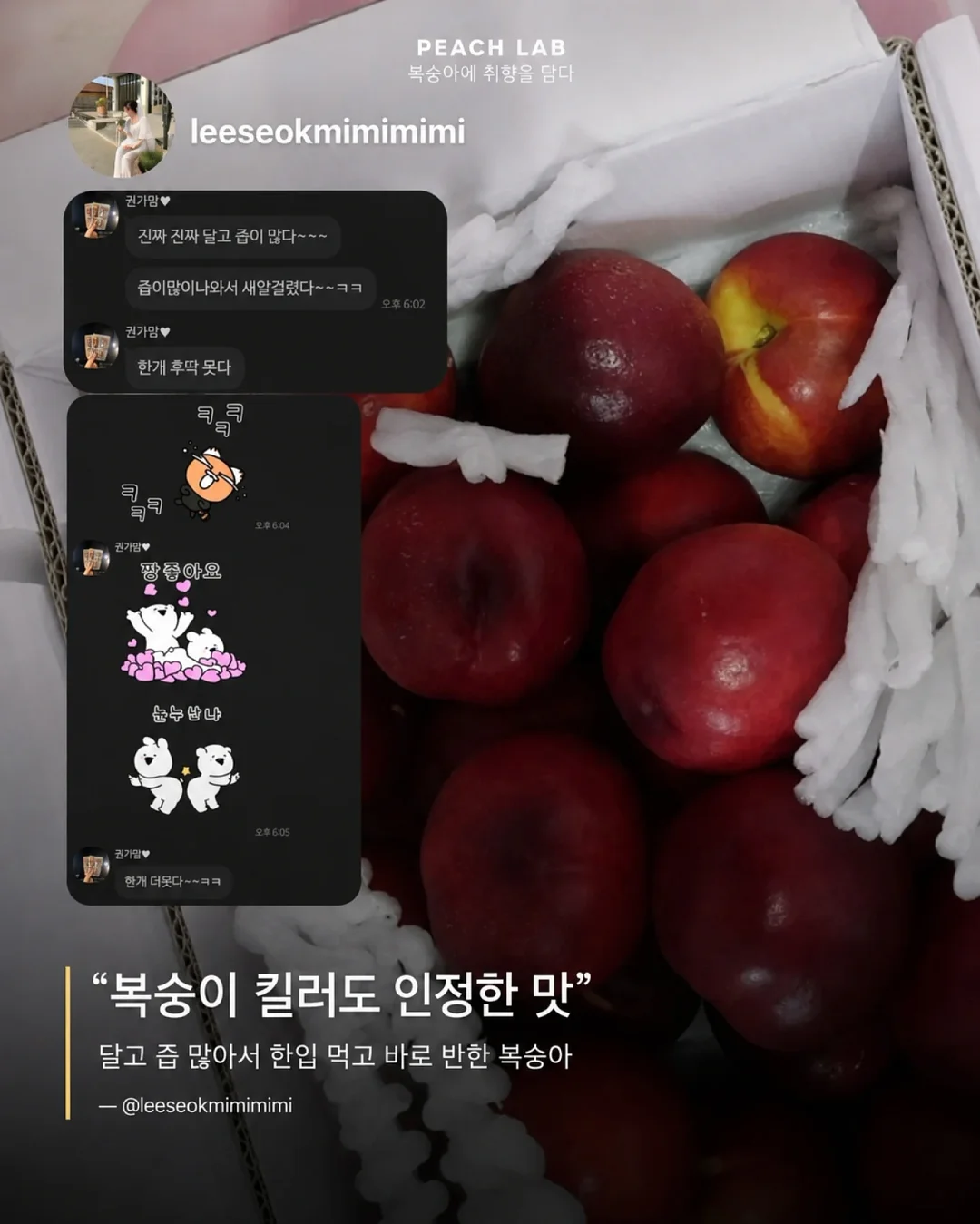 딘엔 델루카 메쉬백 9