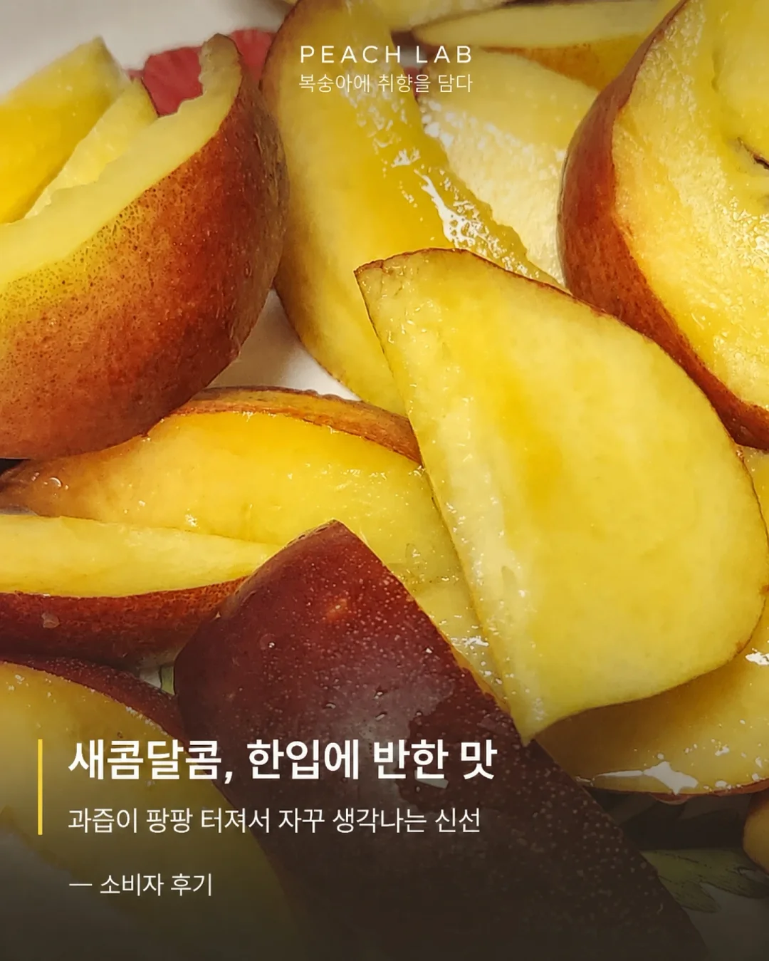 딘엔 델루카 메쉬백 10