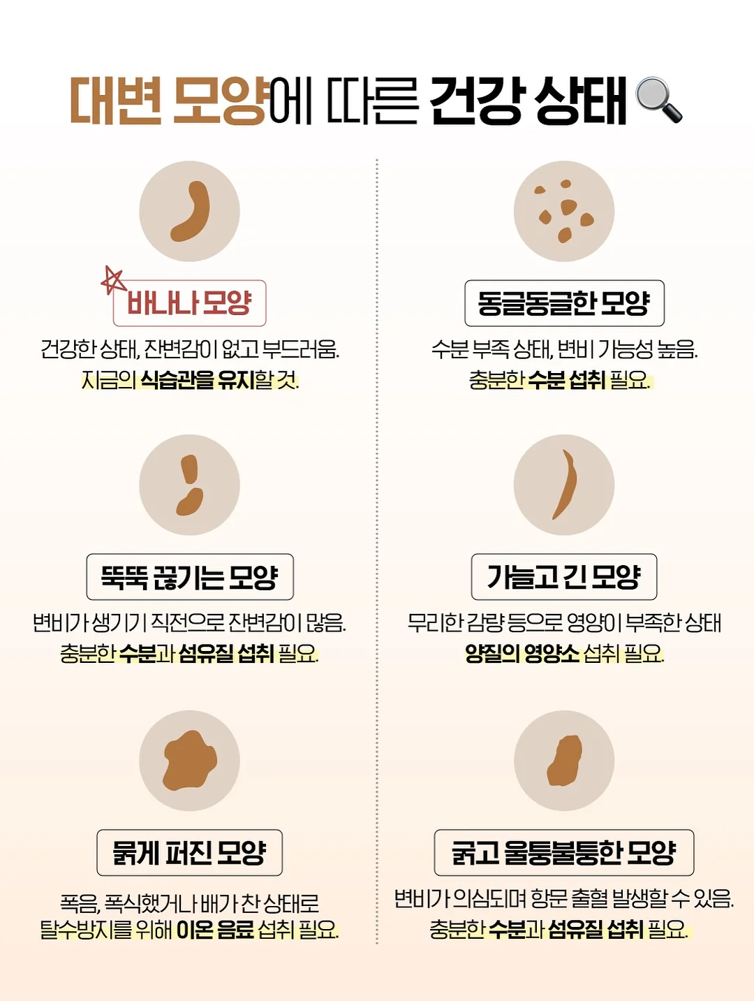 닥터뮨 파우더 영양제 6
