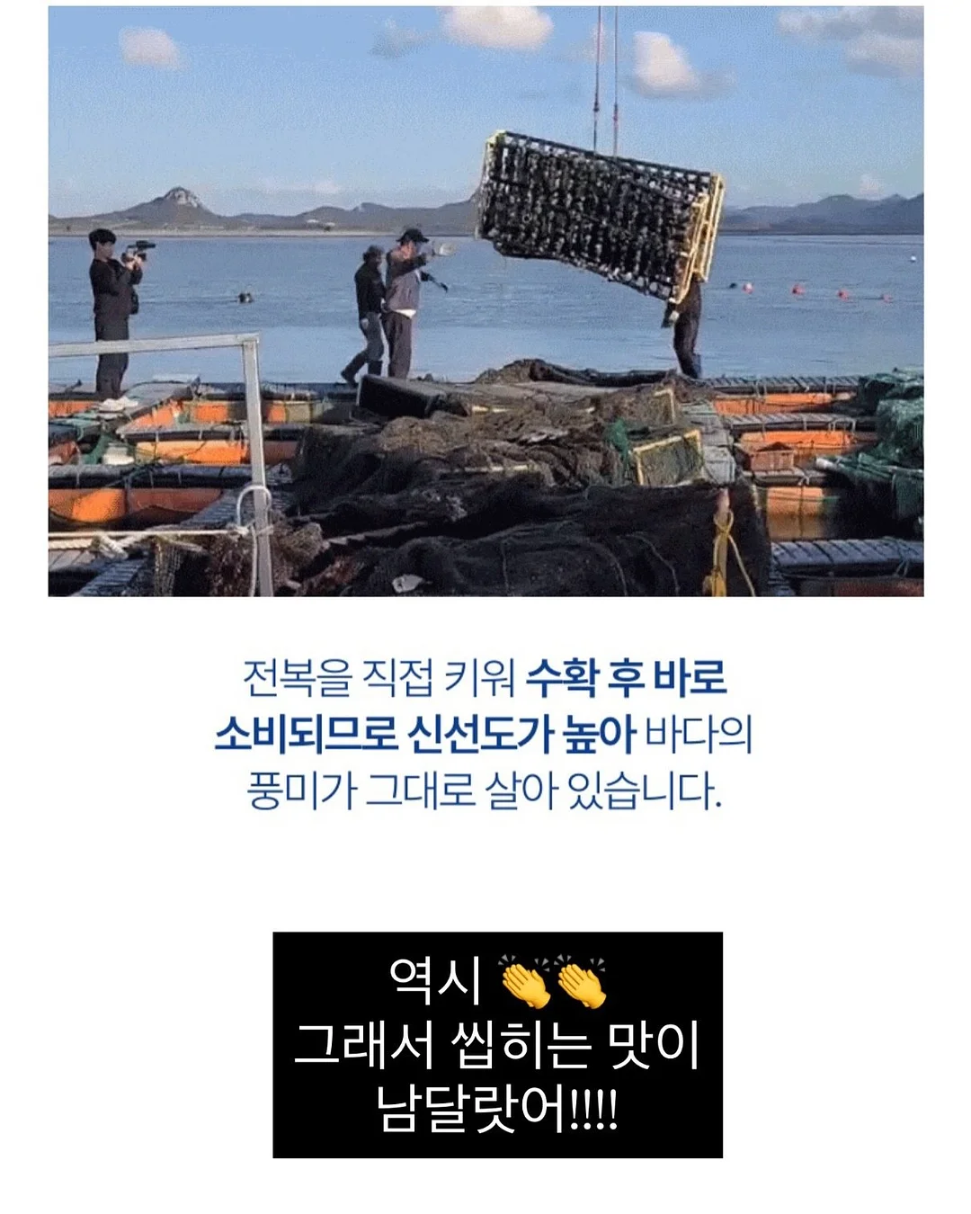 마스 지혈 조혈제 진통제 항생제 항구토제 16