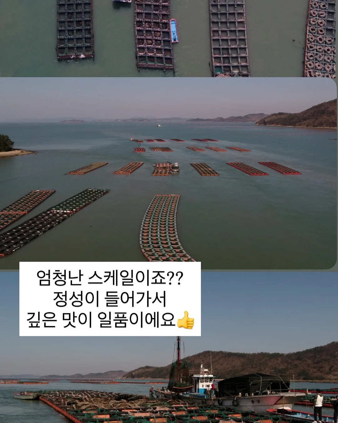 마스 지혈 조혈제 진통제 항생제 항구토제 10
