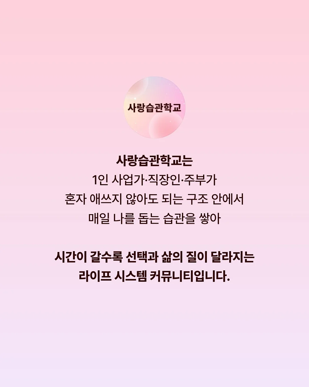 파워버블 13