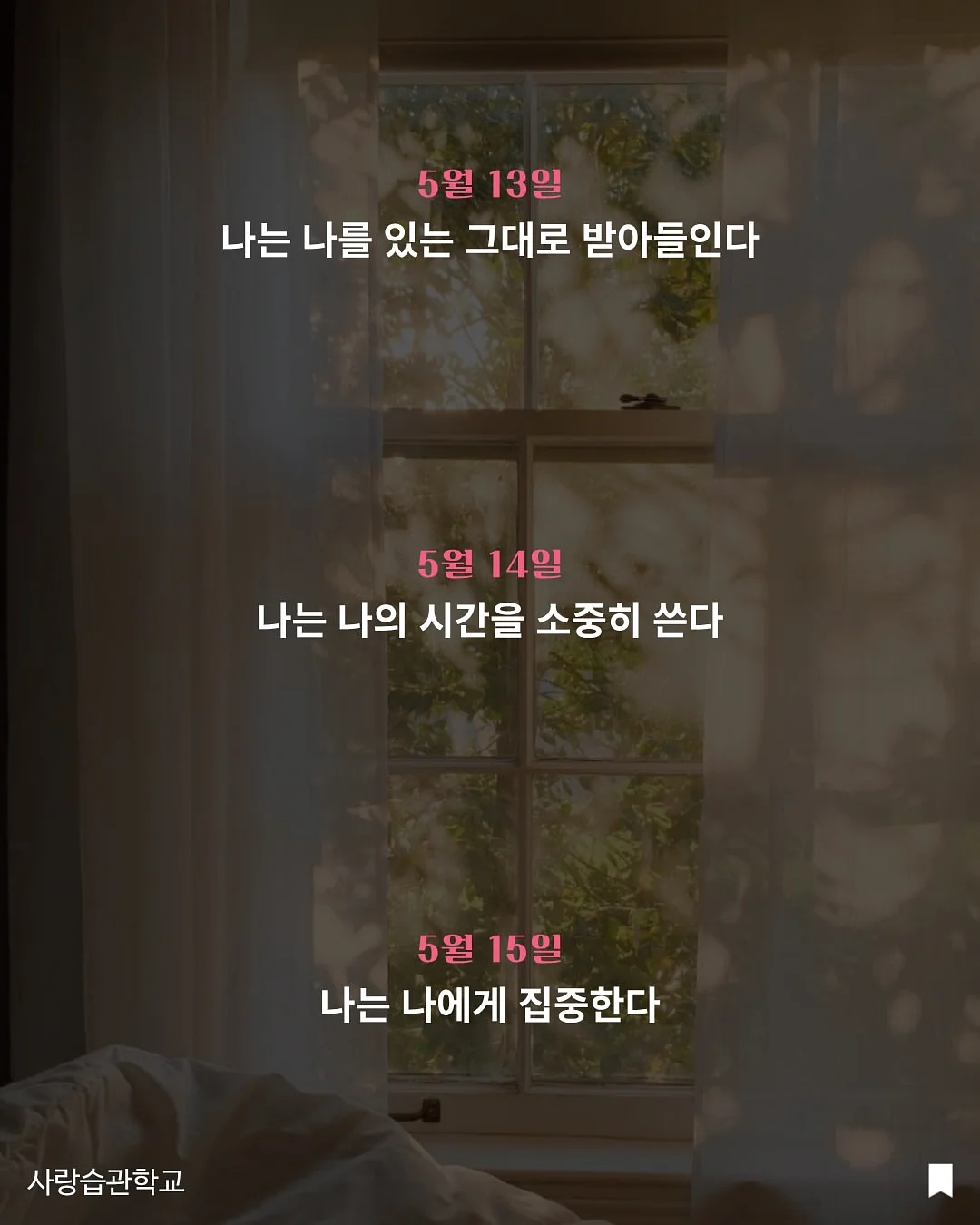 파워버블 6