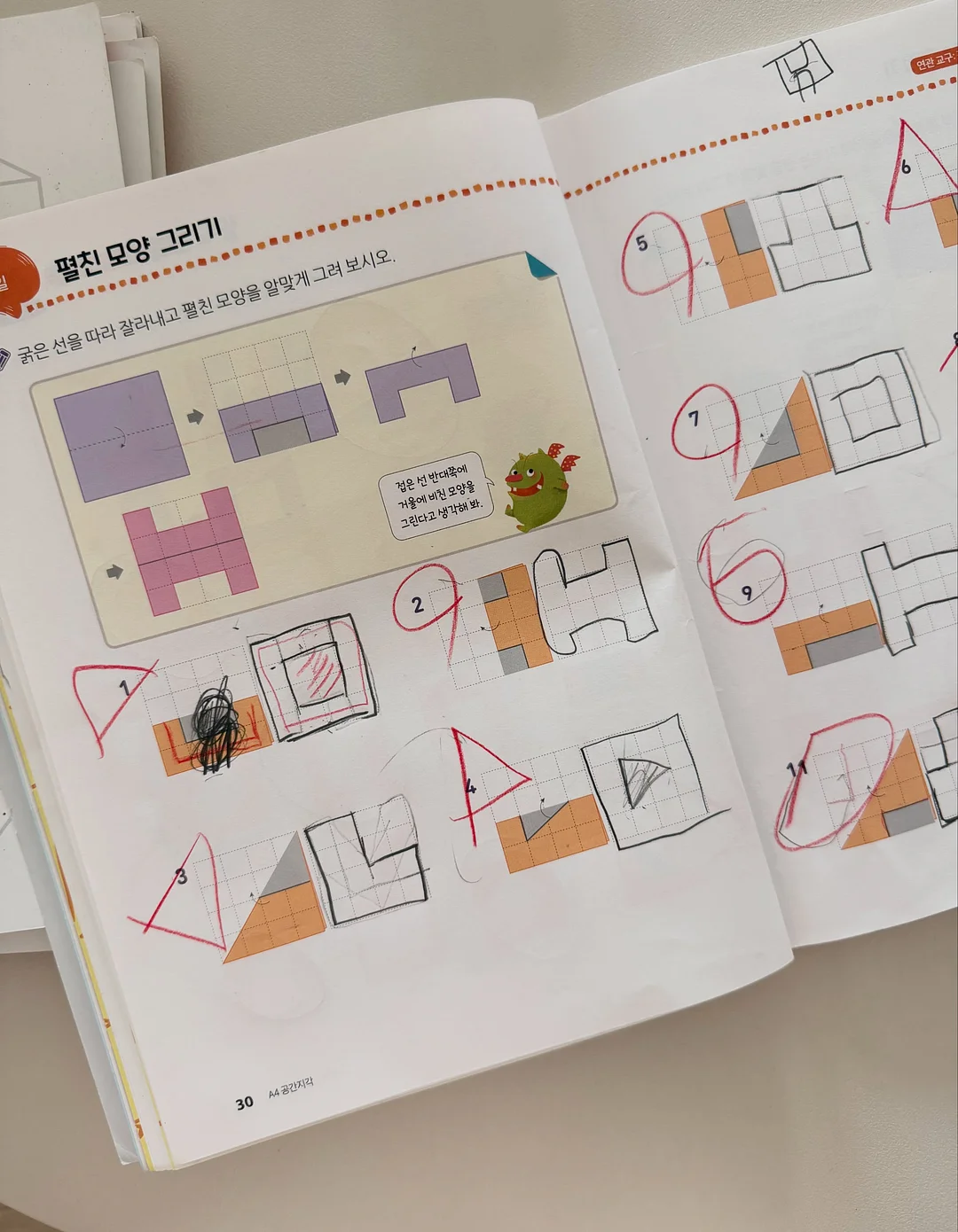 가지 14