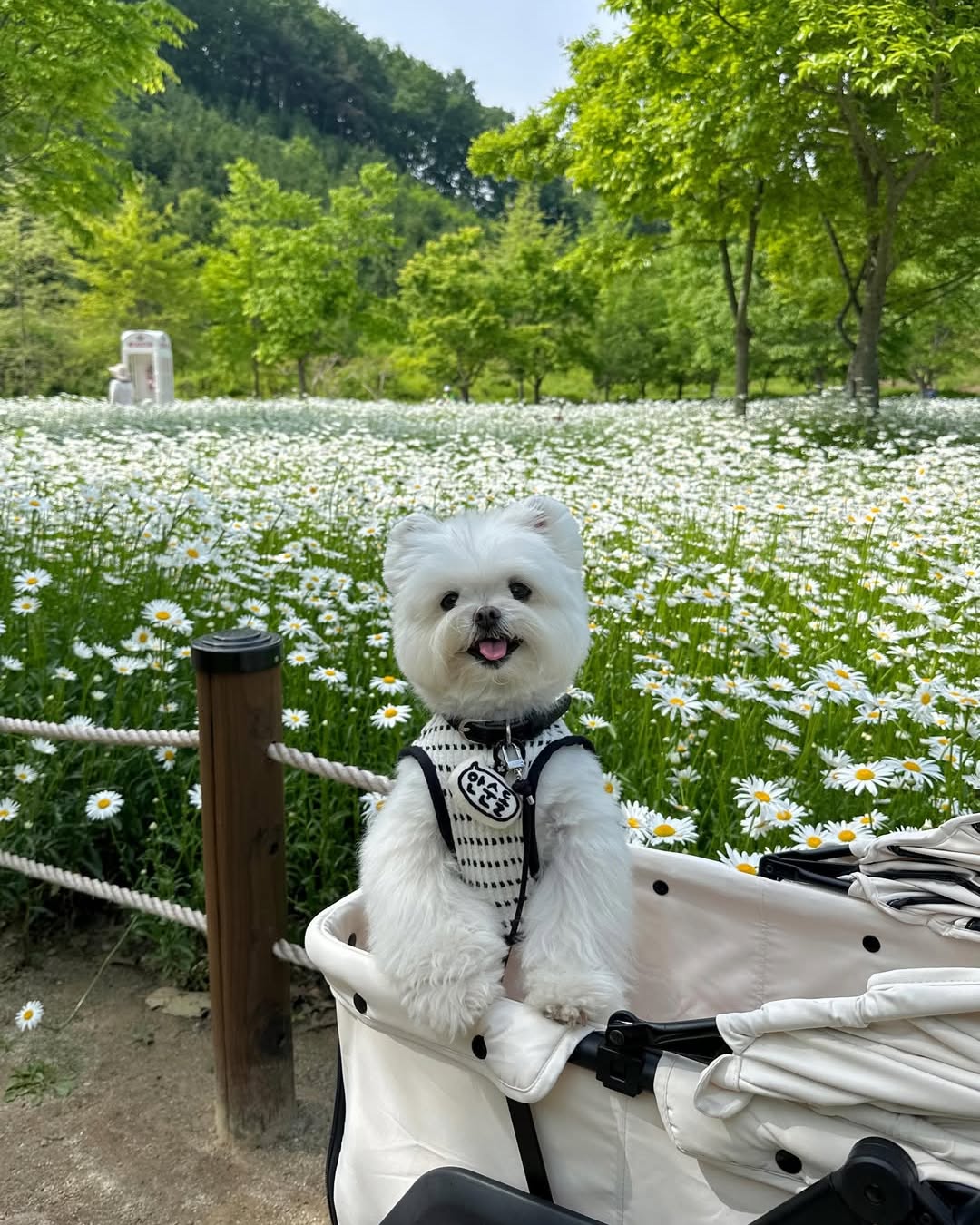 335번 제품 1