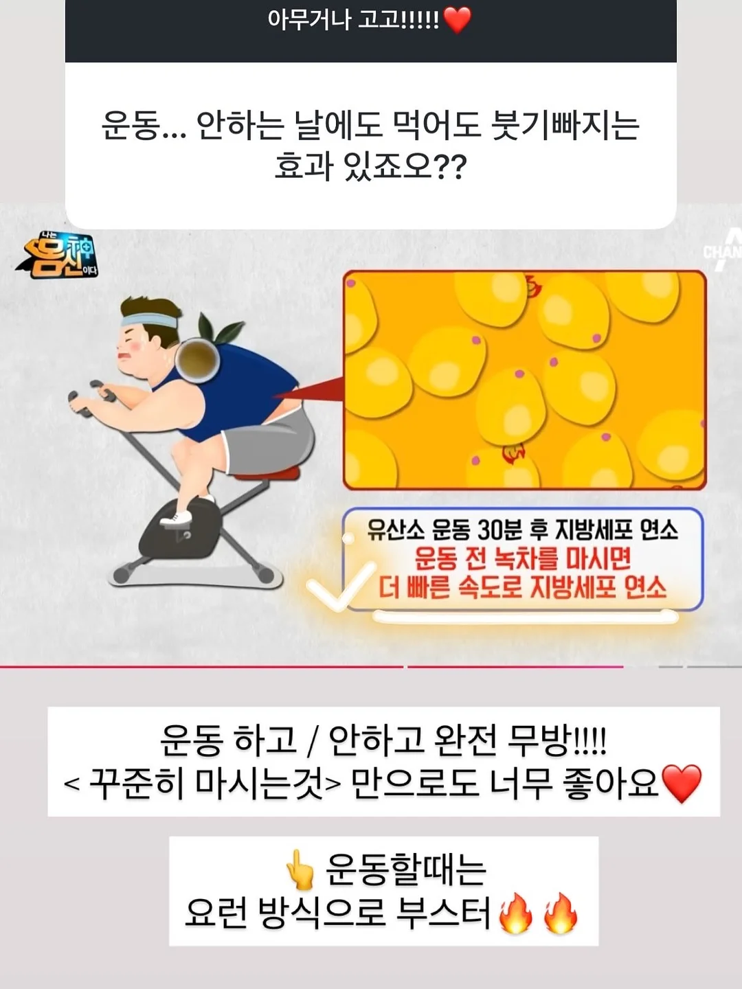 어항 청소 사이펀 8