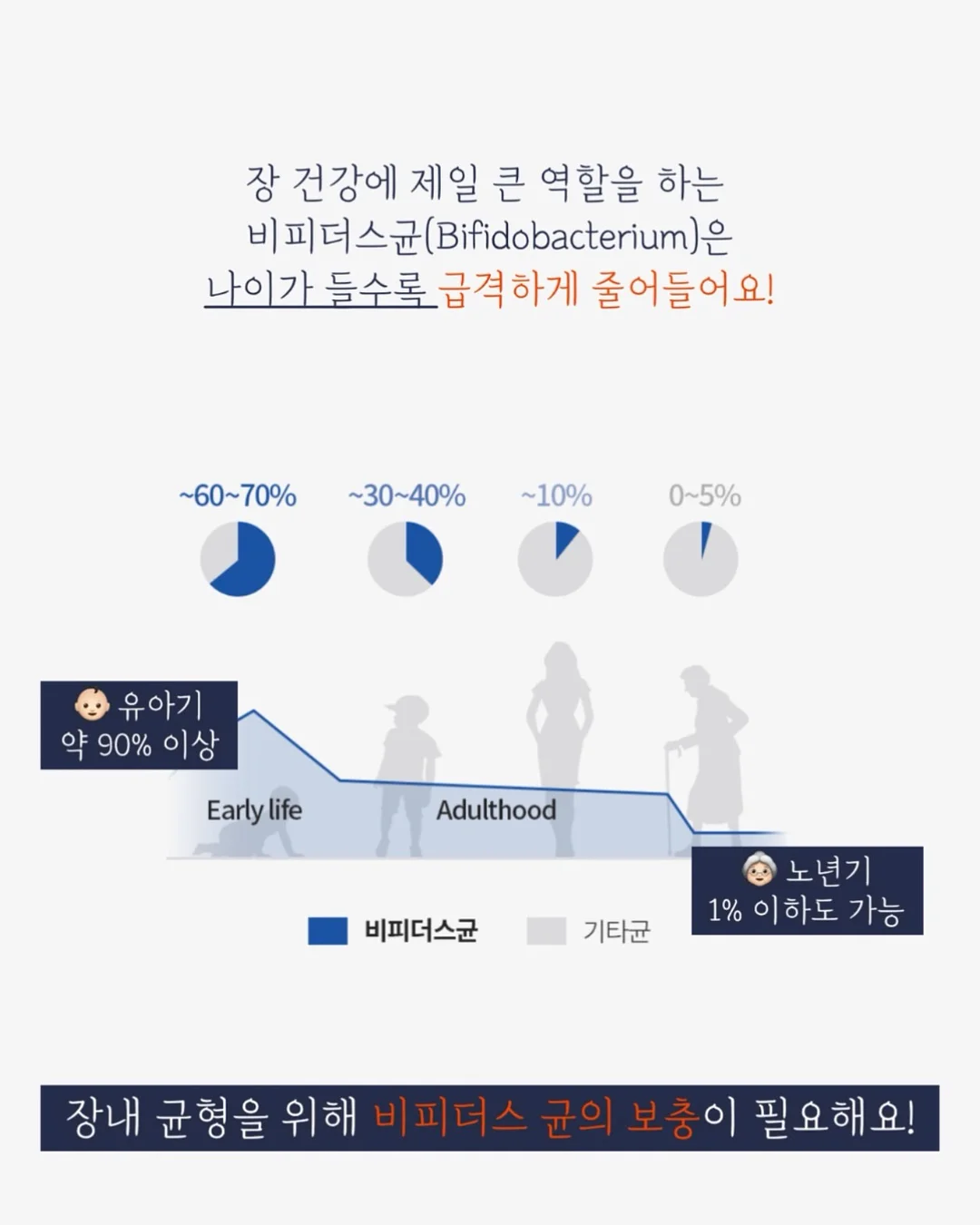 탄력앰플 4