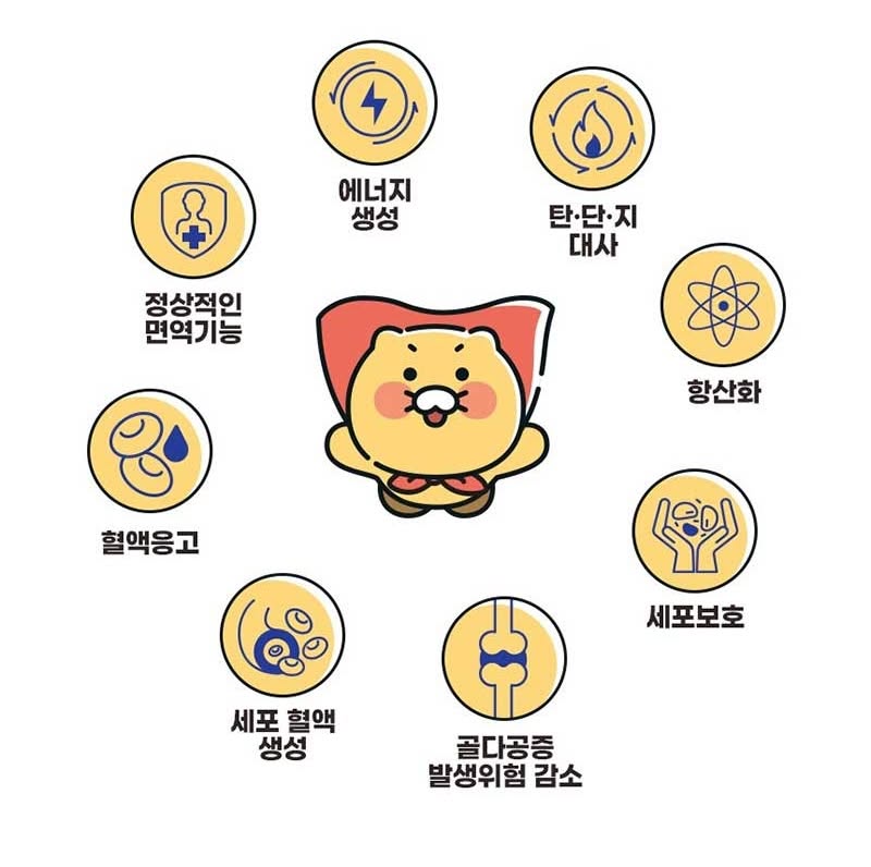 가민 포러너 8