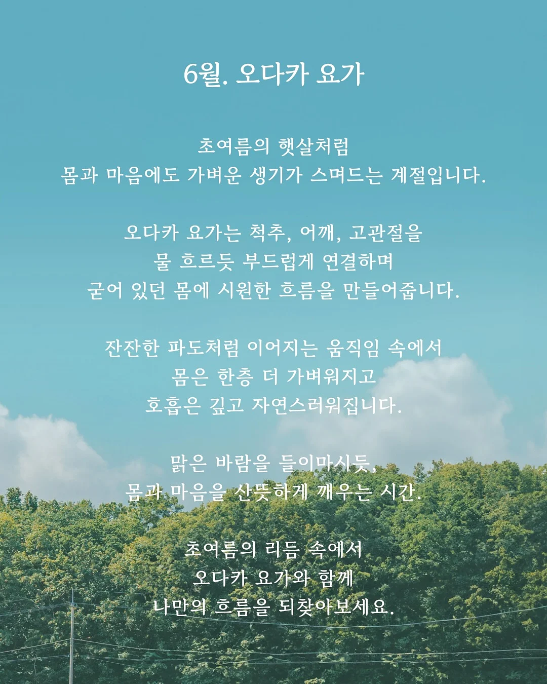 수박 커팅 포크 2