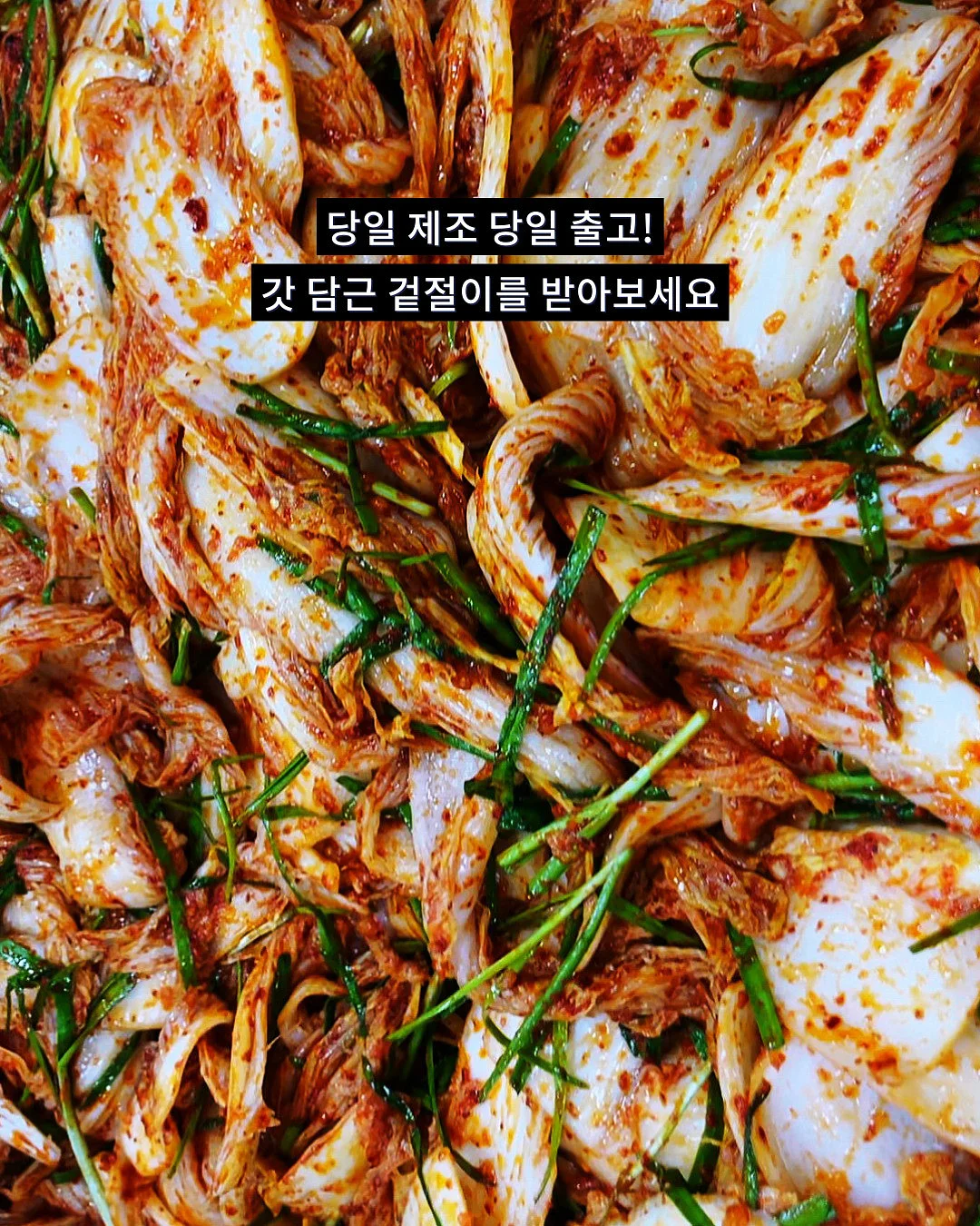 할리데이비슨 스포츠글라이드 8