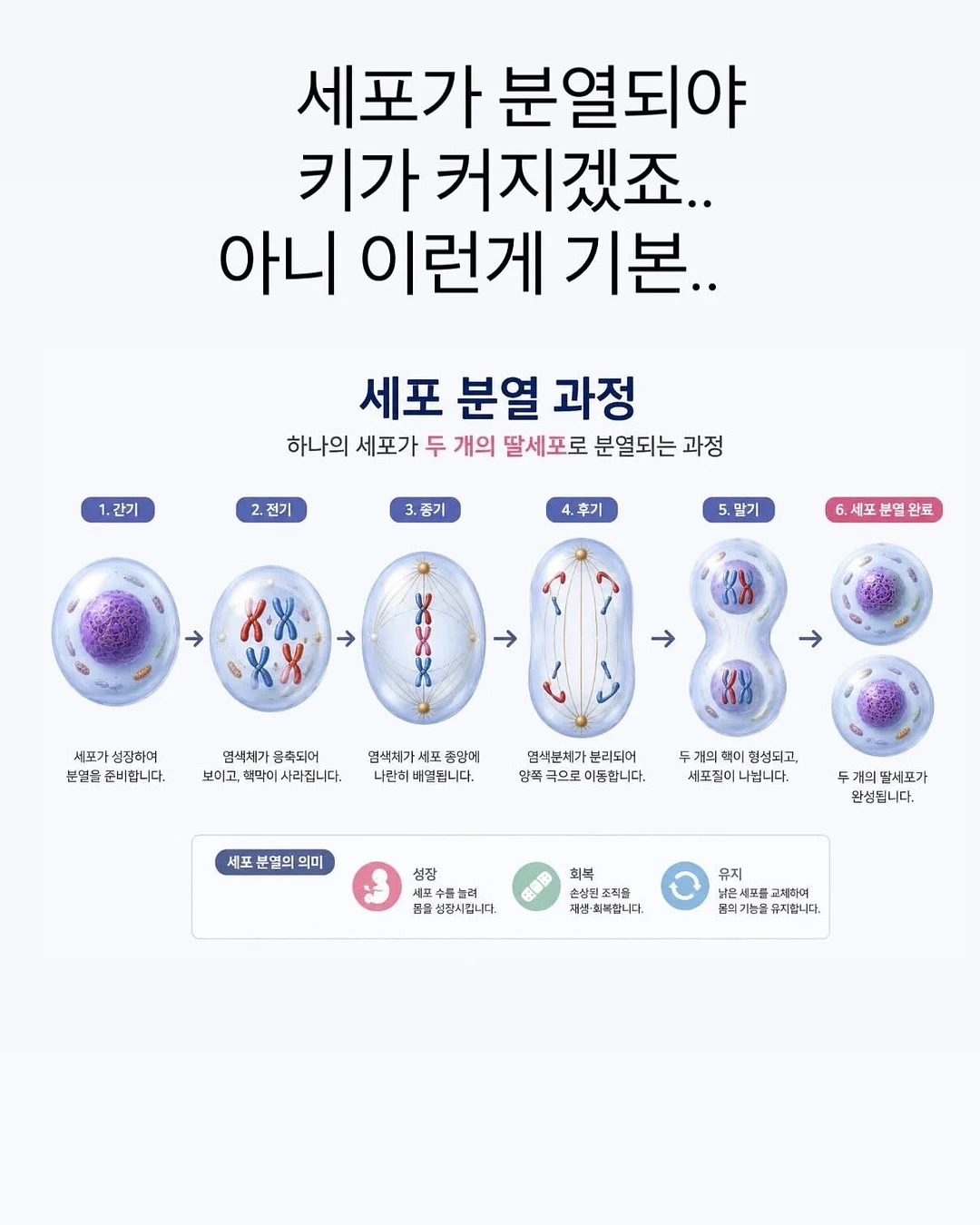 peach eyes 귤 케이크 5