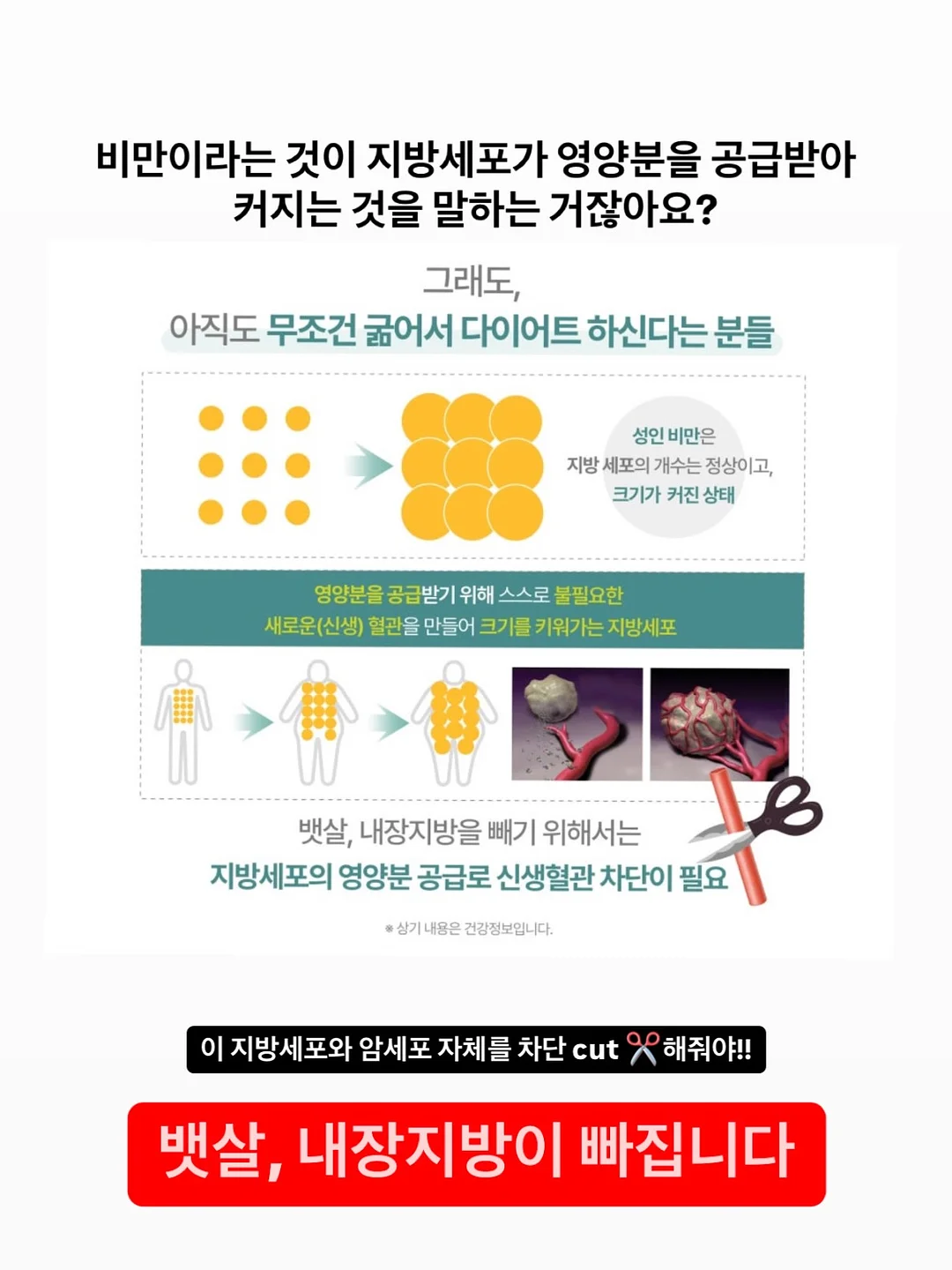웨딩 케이터링 및 플라워 케이크 연출 7