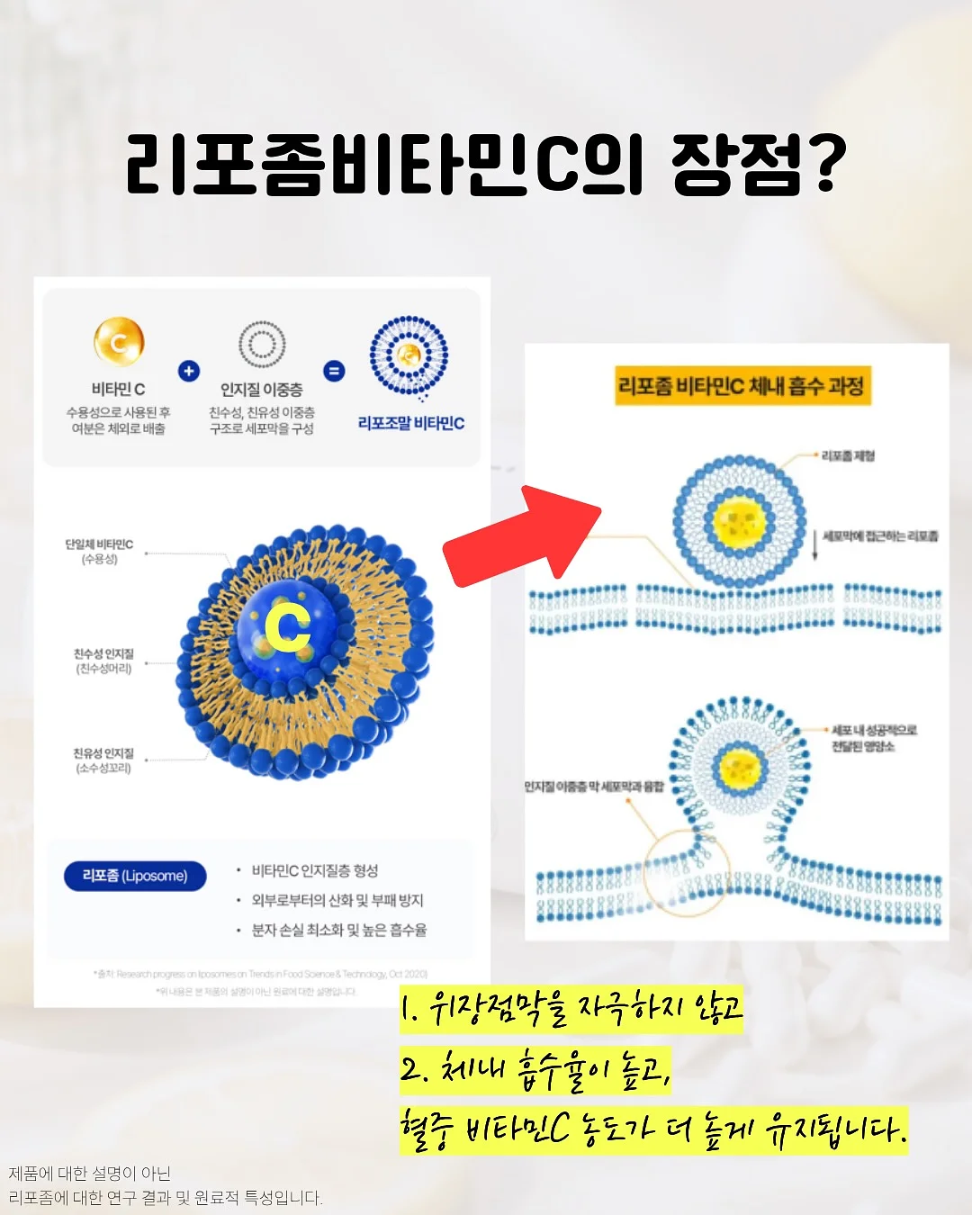 위드알로 라인 화장품 4