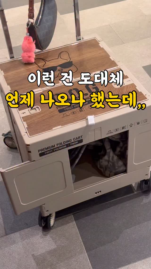 감각 프로젝트