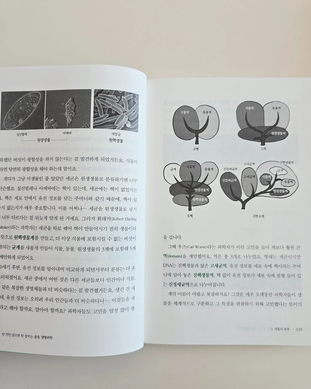 C타입 호환 마이크 10