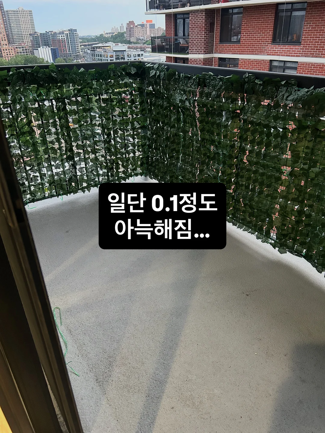 아르기닌 풀파워 11