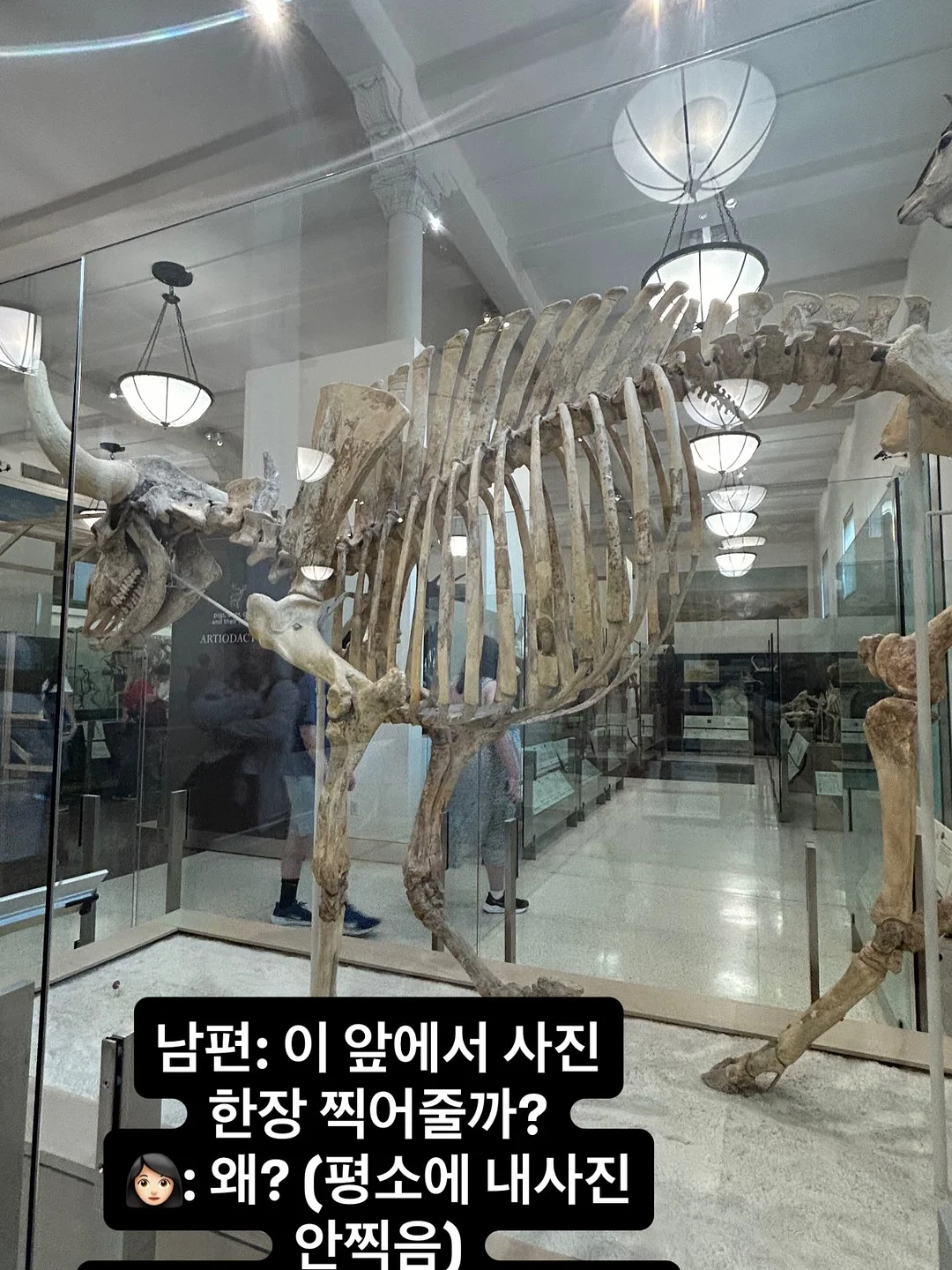 아르기닌 풀파워 8
