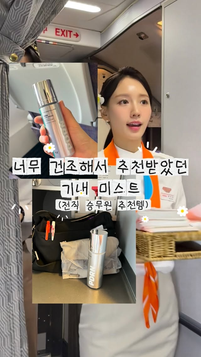 반려동물 촬영 할인