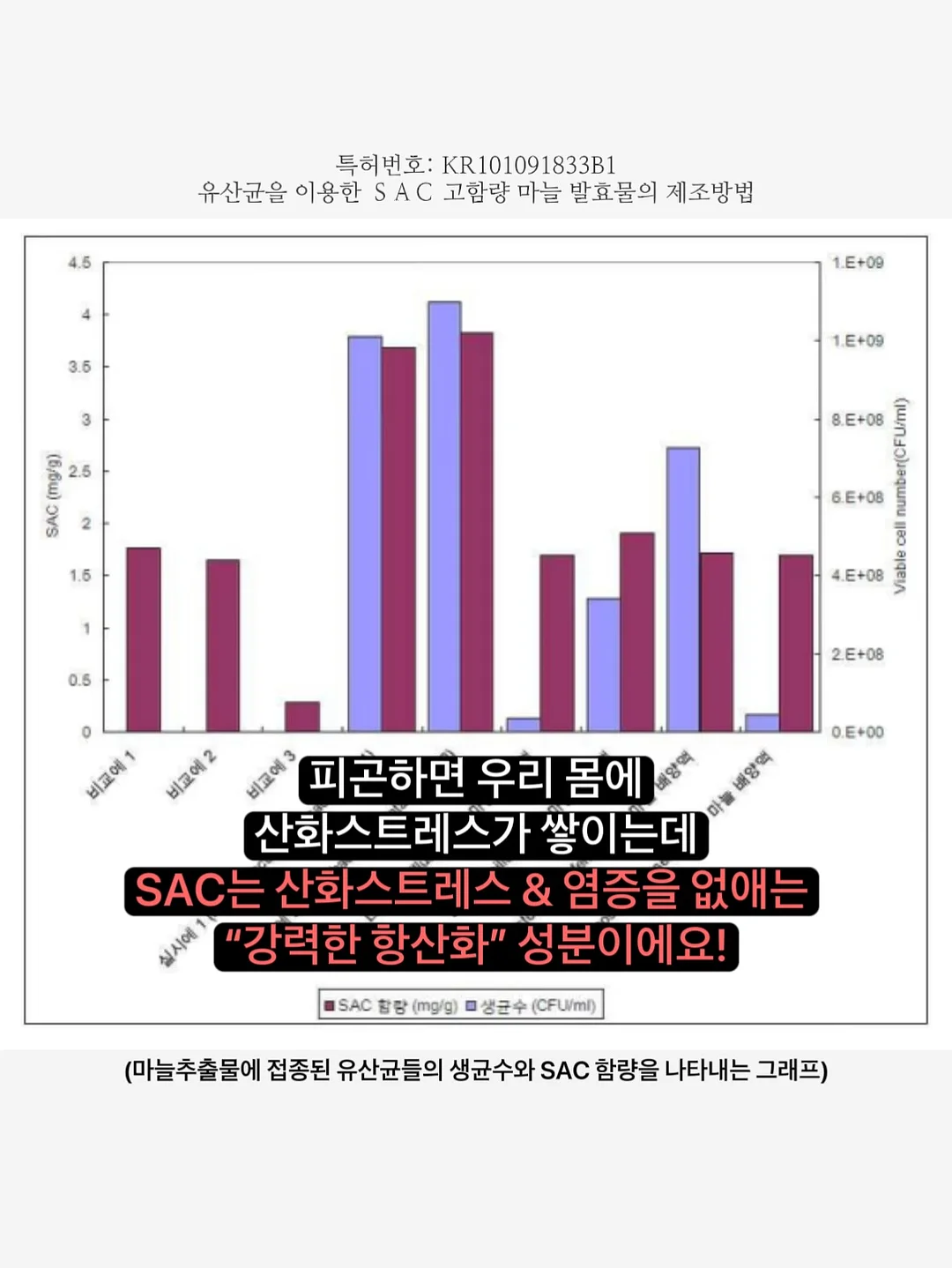 옷방 도면 3