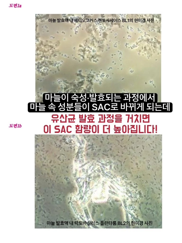 옷방 도면 4